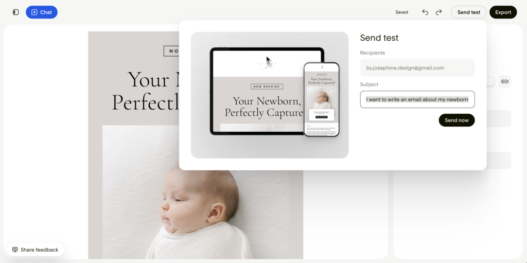 Step five: Send a test email - How to use Flodesk Studio as a newborn photographer